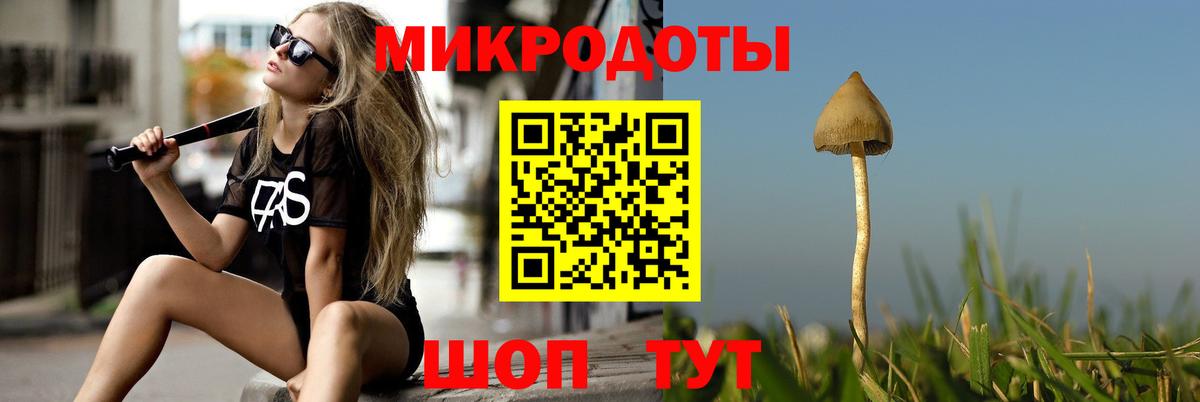 Псилоцибиновые грибы прущие грибы Прокопьевск