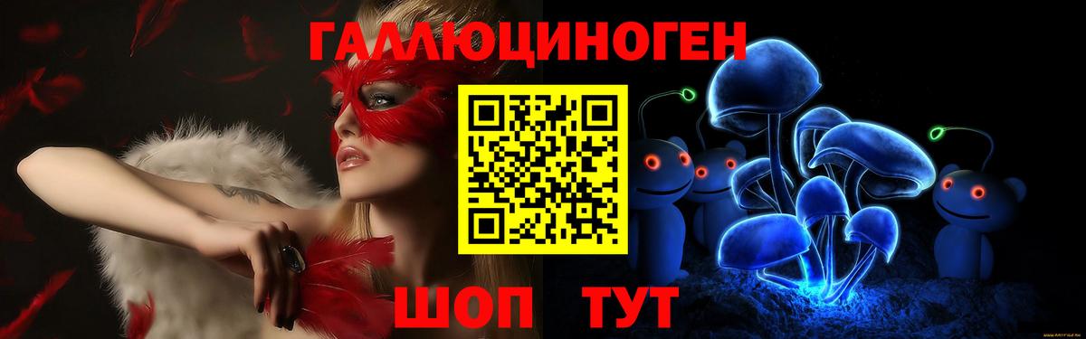 Прокопьевск  Галлюциногенные грибы Psilocybine cubensis  Вход с VPN 